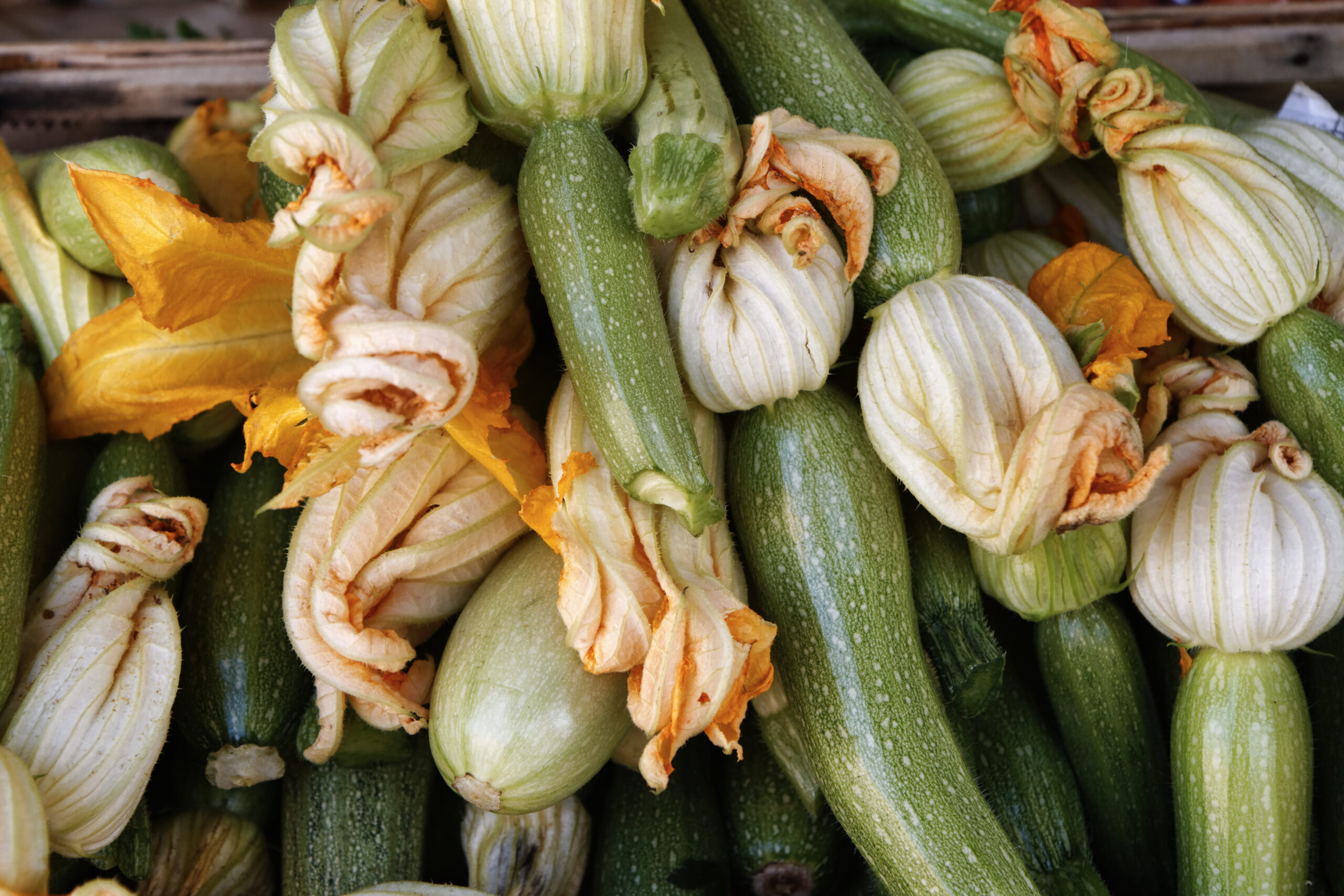 fiori di zucca e zucchini