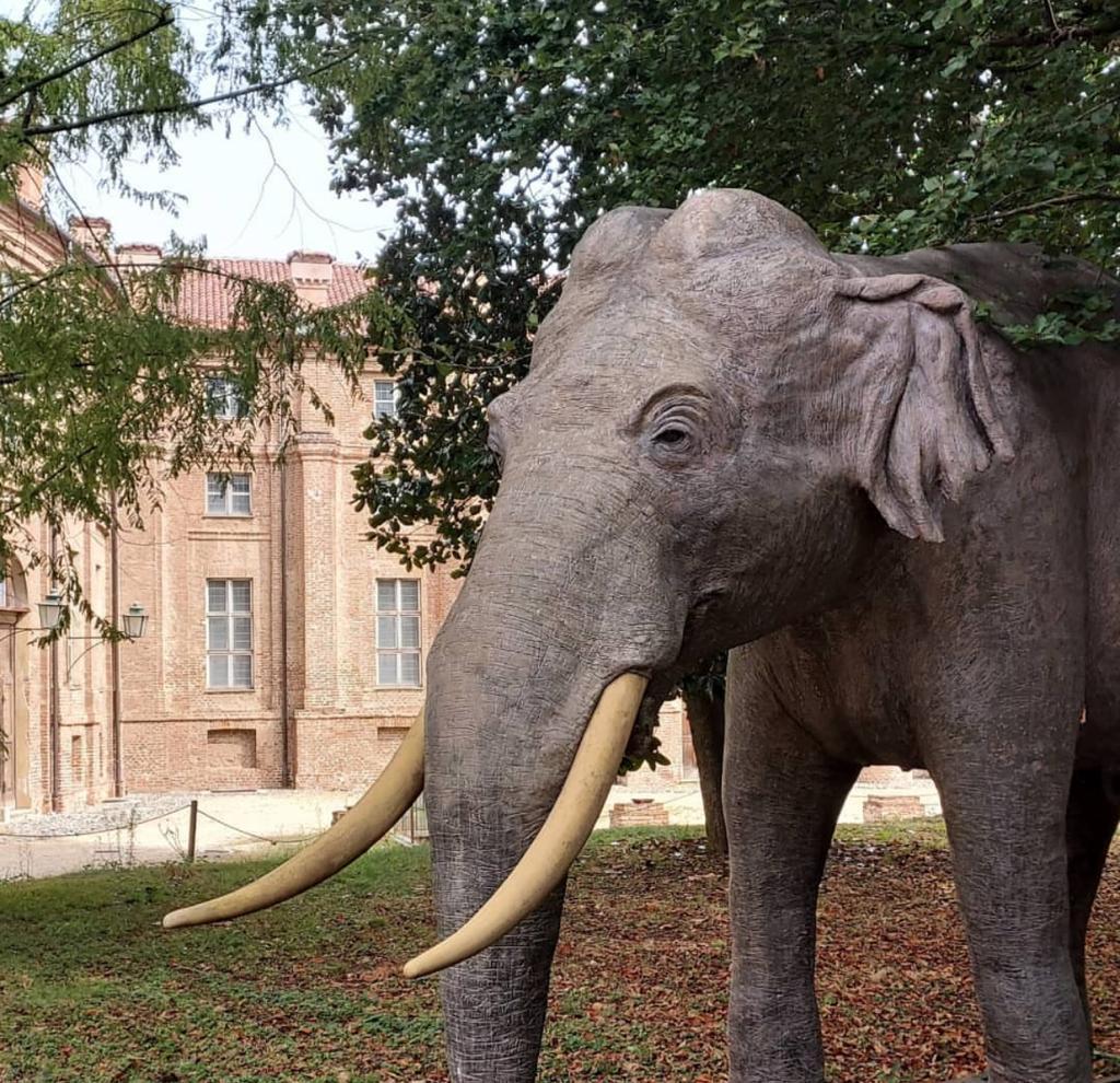 Museo Regionale di Scienze Naturali