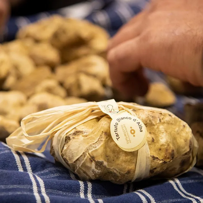 Fiera Internazionale del Tartufo Bianco