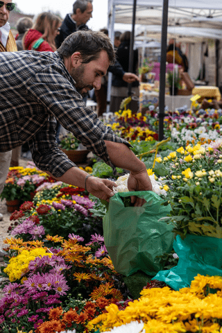 Fiori a Moncalieri-Fiorile